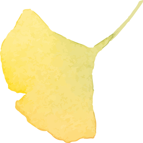 在小团秀项, leid
