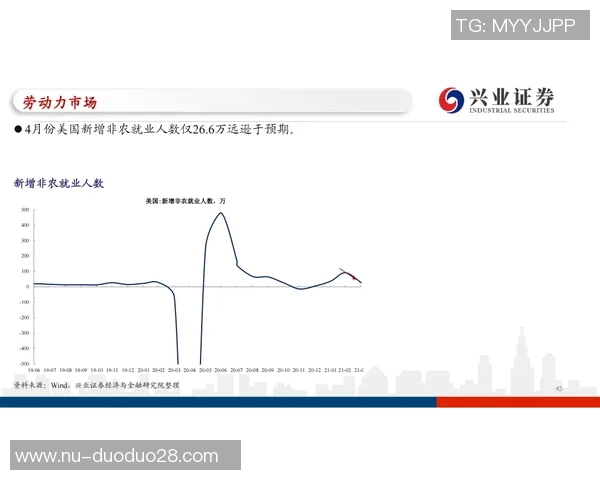 国外购买足球球星卡的价格分析与市场趋势探讨